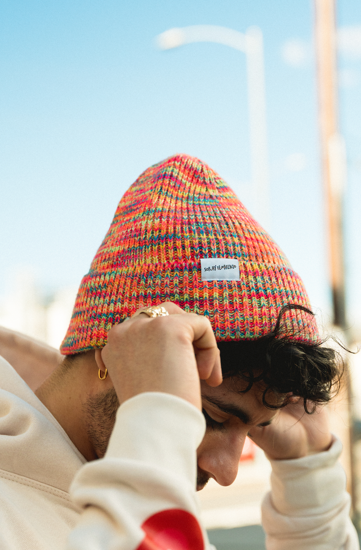 MultiColor Palette Wool Beanie