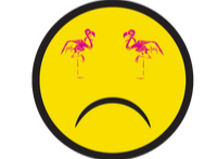 SorryFlamingo 